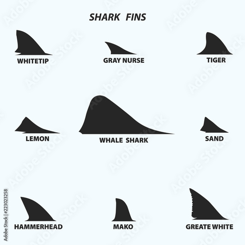 Types of shark fins, black icons on white background. Vector illustration.