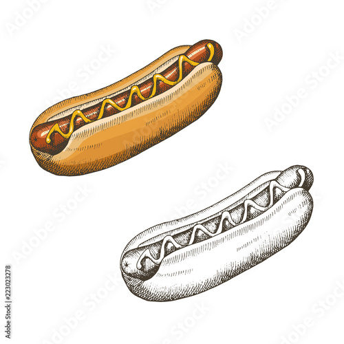 Oktoberfest set of Hand drawn doodle and in color hot dog. Design elements for menu or advertising. Beer festival. Vector. Sketch, engraving