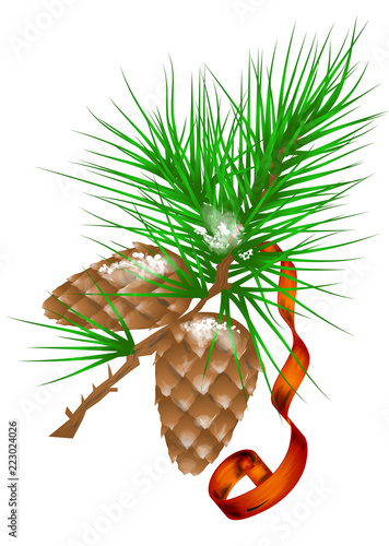 fir cones and ribbon