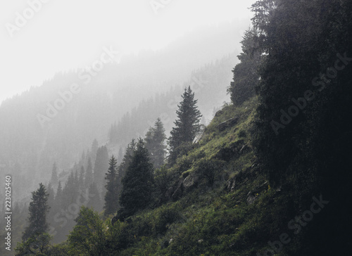 fog in the mountains