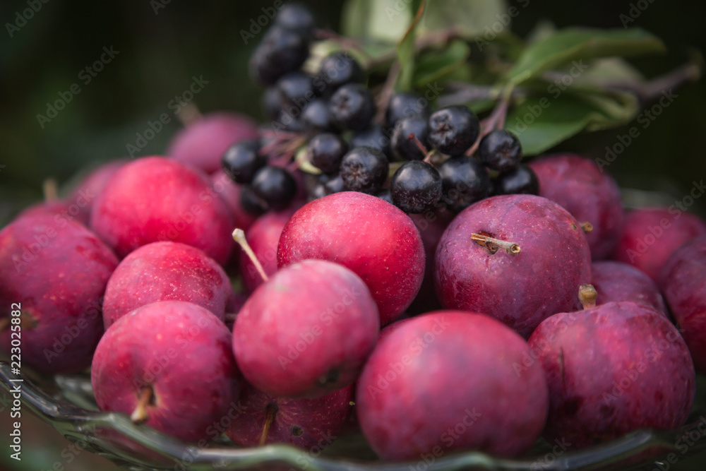 Red apples and black berries in a vase Red apples and black berries in a vase