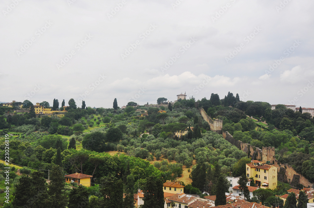 Cloudy day over a peaceful Italian city with green vegetation and trees.
