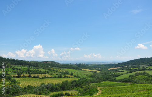 Bright sunny day and a blue sky over large Italian fields with vegetation, hills, and trees.
