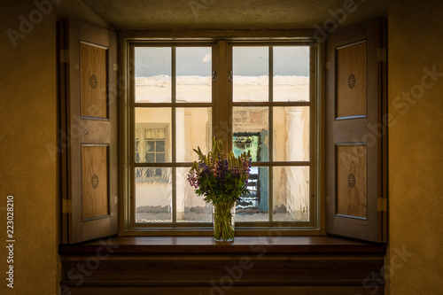 flowers on the windowsill
