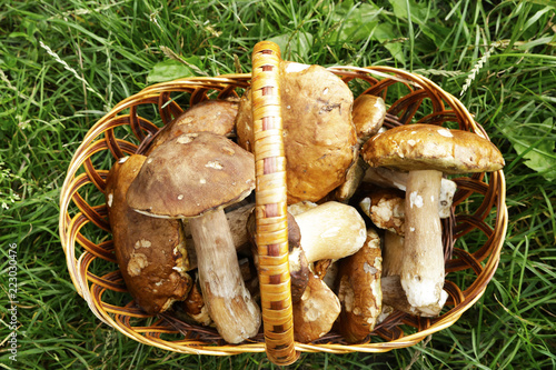 white mushrooms in a basket