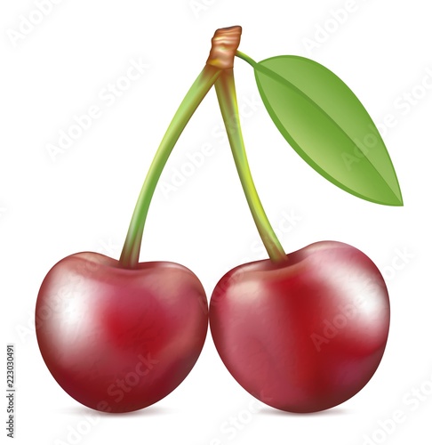 Cherry. Sweet fruit. Vector icons set. Realistic illustration