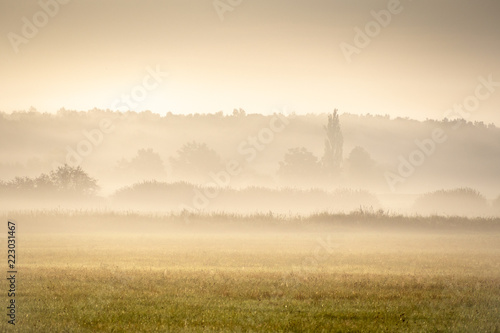 Foggy morning in the haze landscape.