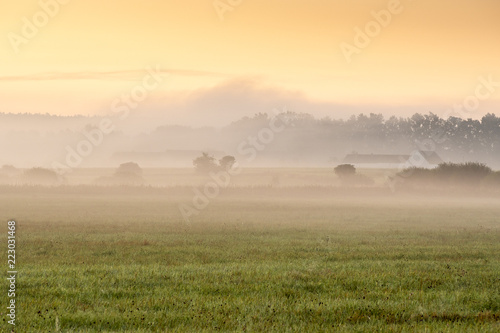 Foggy morning in the haze landscape.
