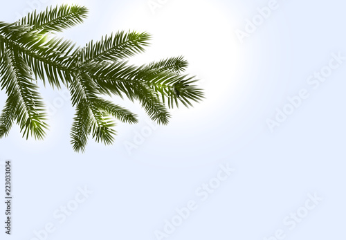 Christmas, New Year. Realistic branches of fir or pine close-up. Morse winter morning. illustration