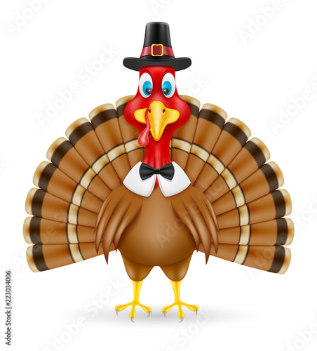 thanksgiving turkey bird vector illustration