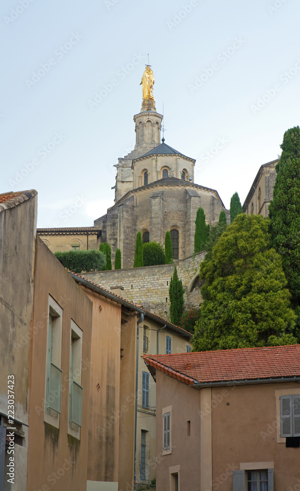 Blick auf die Kathedrale von Avignon