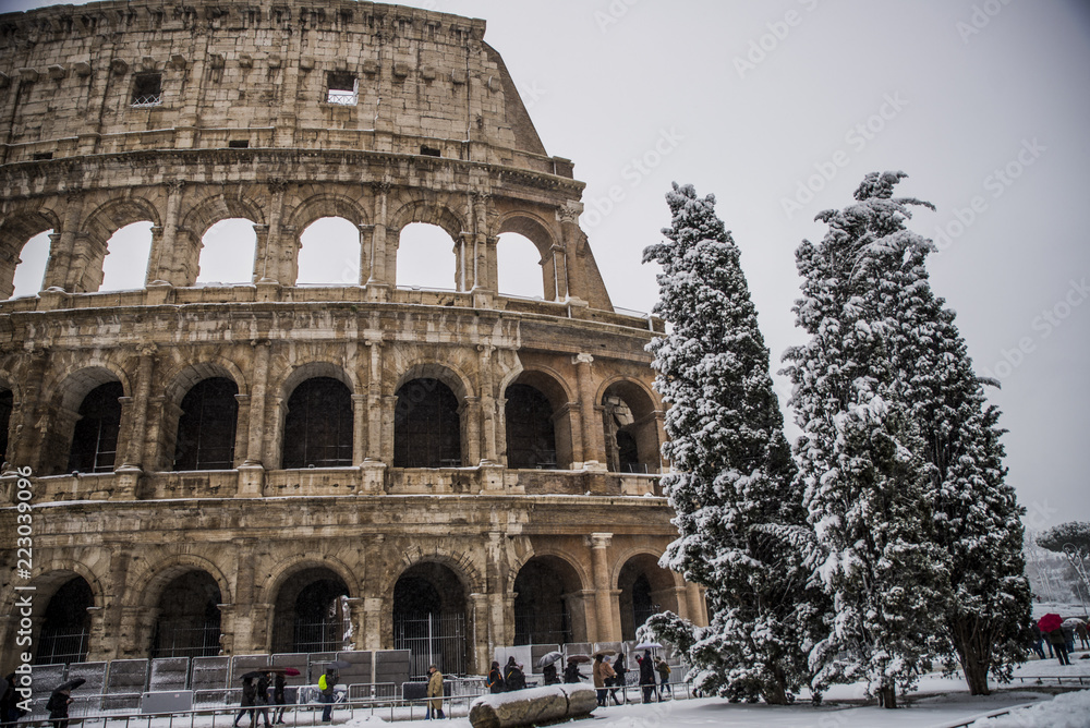 Fototapeta premium colos