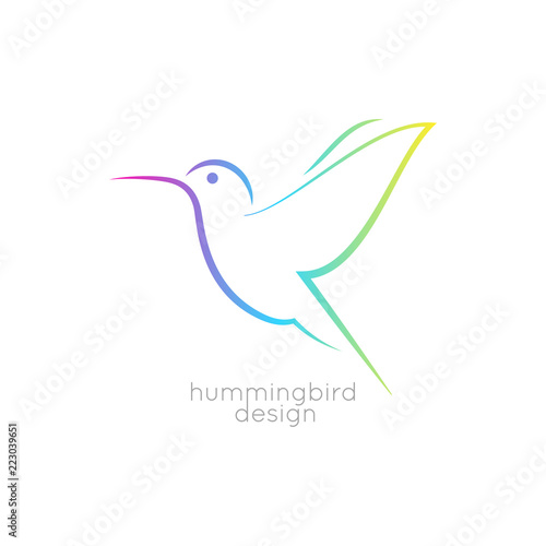 Hummingbird logo design. Colibri bird icon on white background