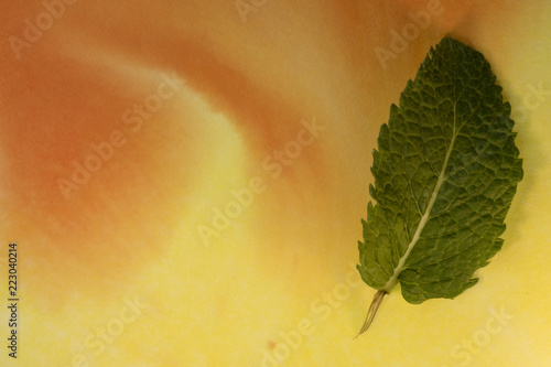 Peppermint leaf detail