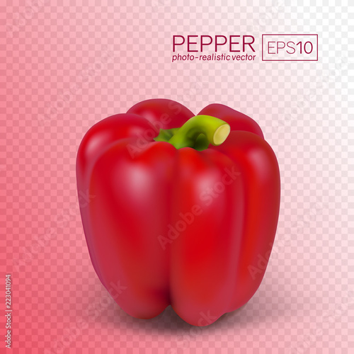 Red paprika isolated on transparent background. Sweet pepper in a realistic style. This pepper can be placed on any background. Vector illustration