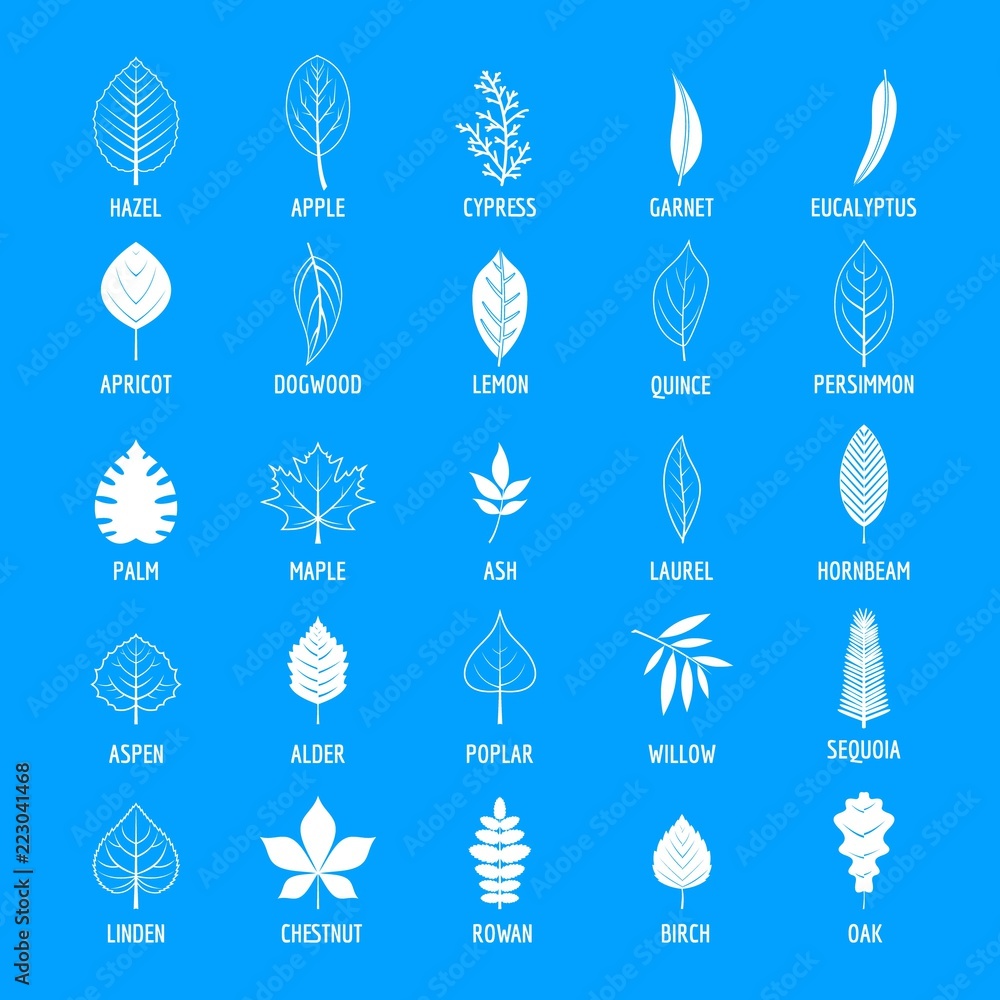 Leaf icons set. Simple illustration of 25 leaf vector icons for web Leaf icons set. Simple illustration of 25 leaf vector icons for web