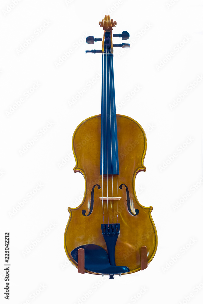 Fototapeta premium The image of violin
