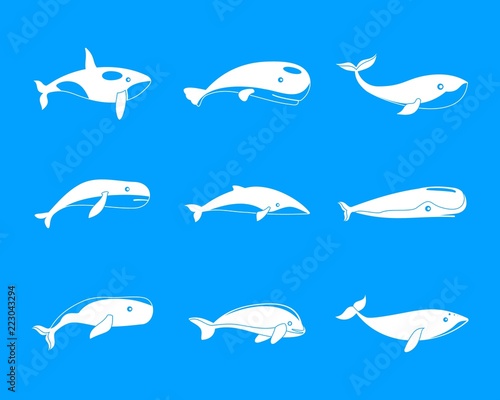 Whale blue tale fish icons set. Simple illustration of 9 whale blue tale fish vector icons for web photo
