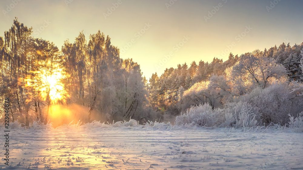 Fototapeta Winter nature landscape in bright sunrise. Frosty and snowy trees on river shore in golden vivid sunlight. Sunrays glowing on branches of trees. Frost on clear sunny morning. Christmas background