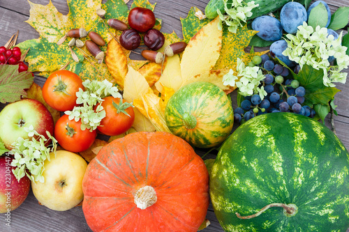 Thanksgiving Day. Vegetables and berries. Watermelon, pumpkins, cucumbers, tomatoes, viburnum, apples, plums, chestnuts and acorns, autumn leaves. Gifts of nature. Gif box gifts. Happy Thanksgiving.