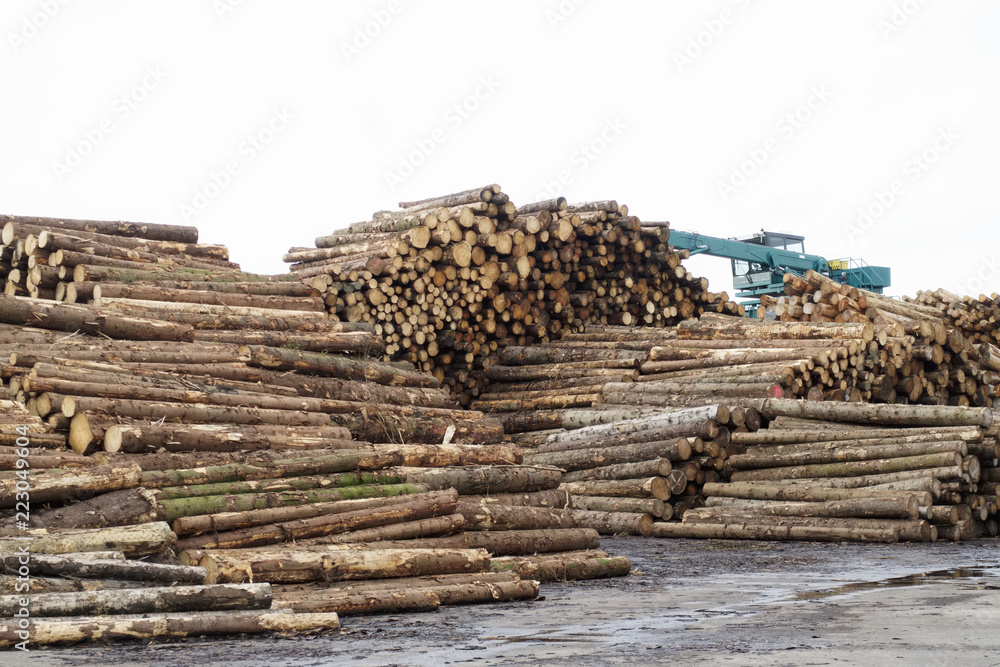 Stacked logs at sawmill with bark removed and wood machinery Stacked logs at sawmill with bark removed and wood machinery