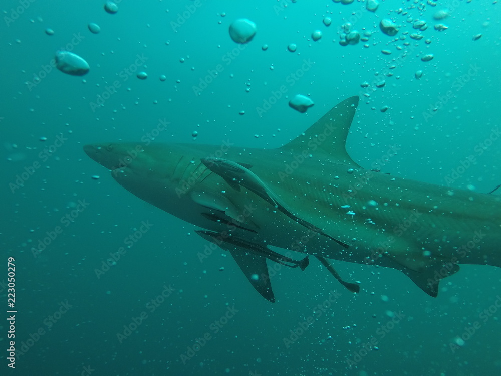 Naklejka premium DCIM\111GOPRO\GOPR1924.JPG