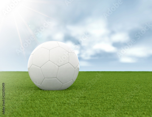 Soccer ball on green grass and blue sky background © Jezper