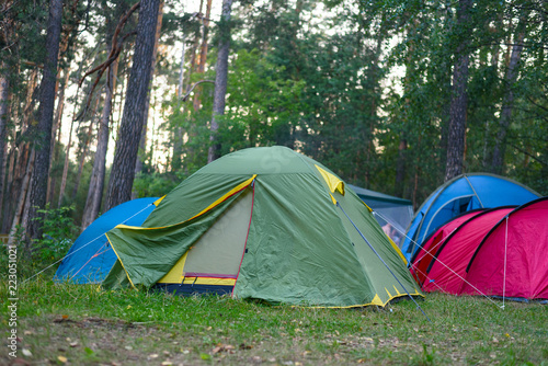 Collected tents in the forest glade  collective camping  outdoor recreation