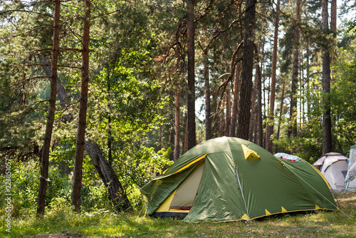 Collected tents in the forest glade, collective camping, outdoor recreation