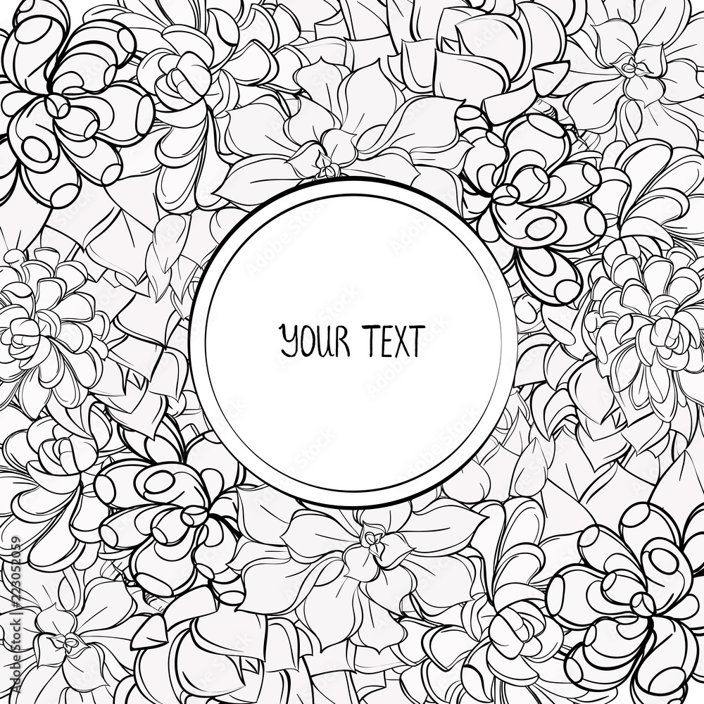 Succulents. Vector. flowers, leaves. Design for coloring book page for adults and kids,card for you, Black and white drawing isolated on white