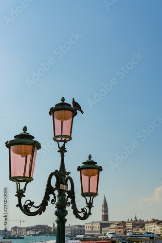 View of piazza san marco and grand canal behind a typical venetian light pole, Venice, Veneto, Italy © marcodotto