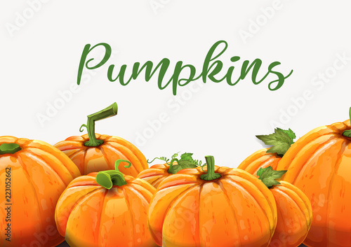 Background of orange autumn pumpkins.