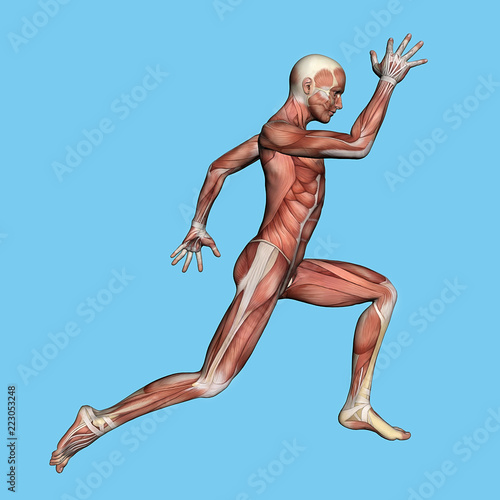 Anatomy of Man in Fast Running Motion: Featuring coronal suture, maxilla and zygomatic bone, temporalis muscle, masseter muscle, orbicularis oculi muscle and zygomaticus major muscle. photo