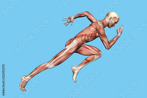 Anatomy of Man in Running Sprint Motion: Featuring coronal suture, maxilla and zygomatic bone, temporalis muscle, masseter muscle, orbicularis oculi muscle and zygomaticus major muscle. photo