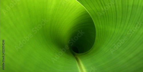 abstract green background