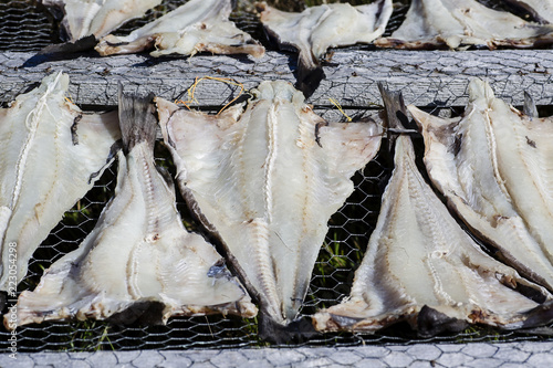 Salt cod drying on racks in rural Newfoundland, Canada.