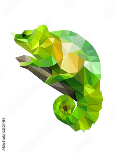 Colorful polygonal style design of wild reptile chameleon