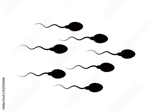 Spermatozoa quickly move to the target and overtake each other
 photo