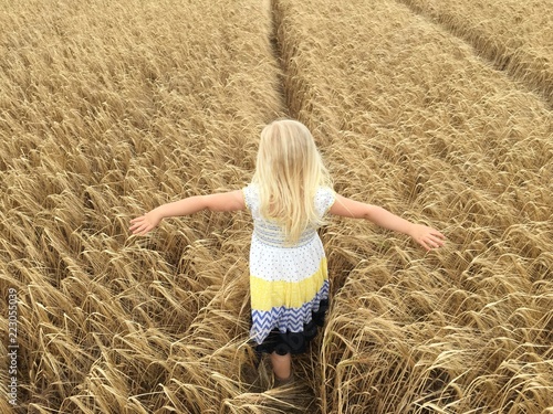 Child in wheat field