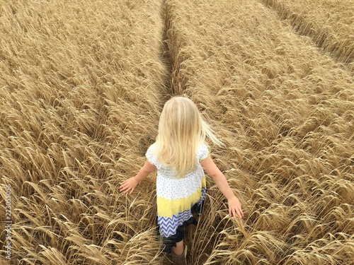 Child in wheat field