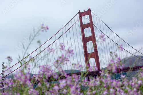 Golden Gate Bridge in the Summer