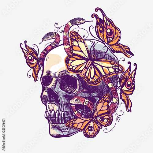 Skull with patterns, butterflys and snakes. Vector illustration in grunge style for tattoo or mexico event.