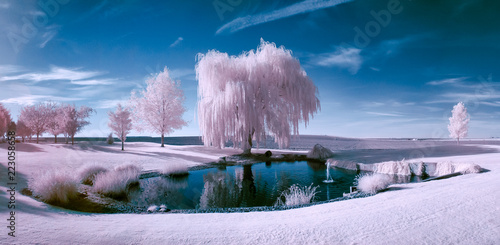 Fototapeta Naklejka Na Ścianę i Meble -  Infrared scene of a pond and trees