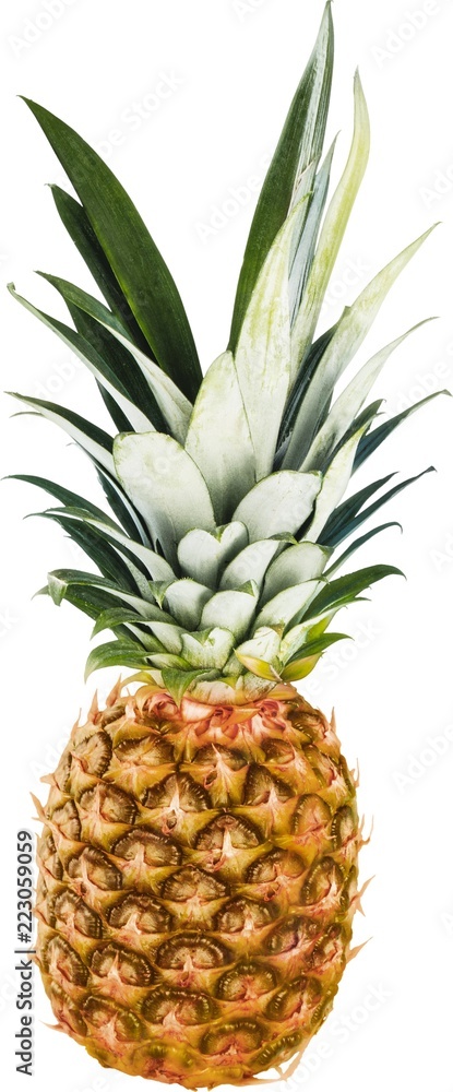 Obraz premium Ripe pineapple