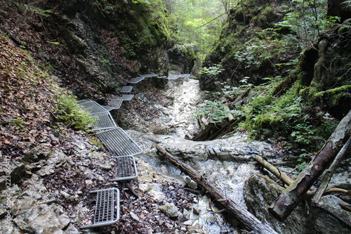 Metal ladder in Canyon Piecky in Slovenský raj (Slovak Paradise National Park),Slovakia 

