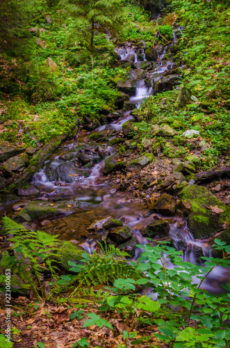Small creek in the Carpathian Mountains in the autumn season