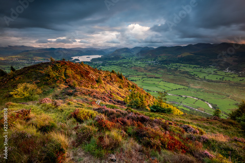 Top of Dodd Summit photo