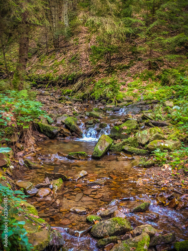 Fototapeta Naklejka Na Ścianę i Meble -  Small creek in the Carpathian Mountains in the autumn season