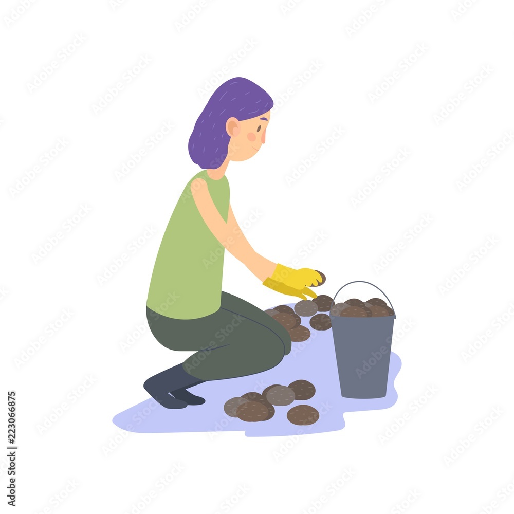 Farmer is harvesting potatoes. Vector illustration isolated on white background. Farmer is harvesting potatoes. Vector illustration isolated on white background.