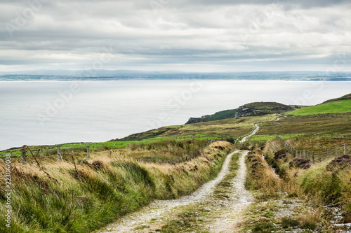 Canvas Print Road over the Moorland